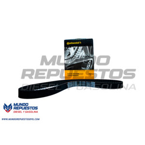 CORREA DE REPARTICION DENTADA